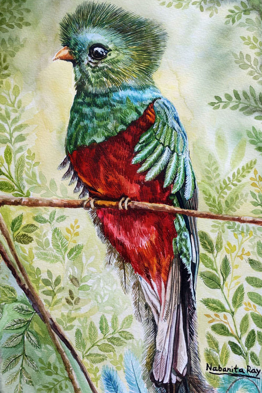 Quetzal Bird Watercolor Painting by Nabanita Ray on Handmade Paper