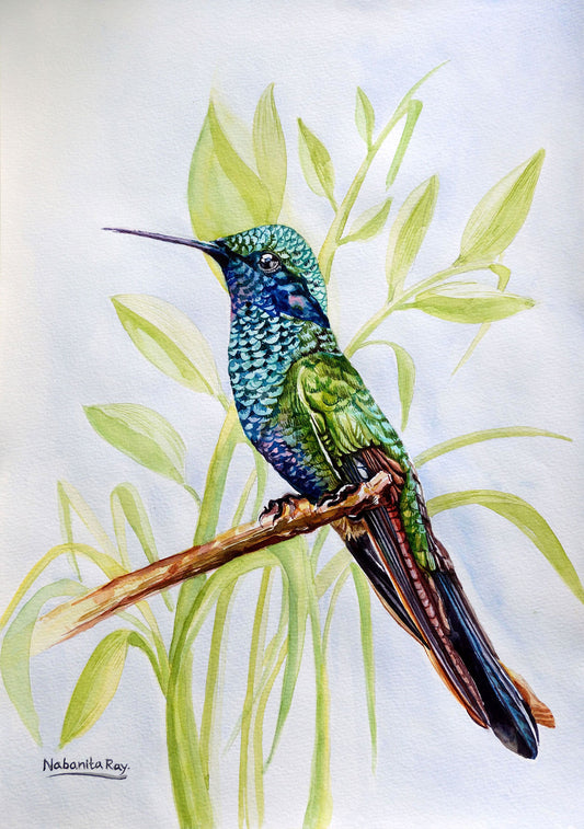 Tropical Hummingbird Watercolor Painting by Nabanita Ray on Handmade Paper