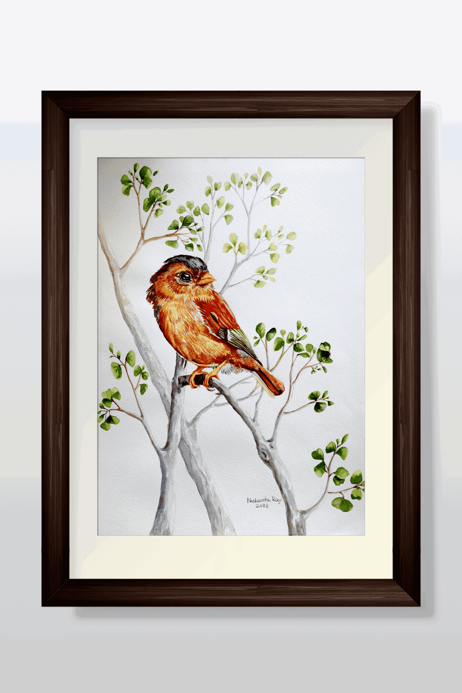 Black-capped piprites Watercolor Painting
