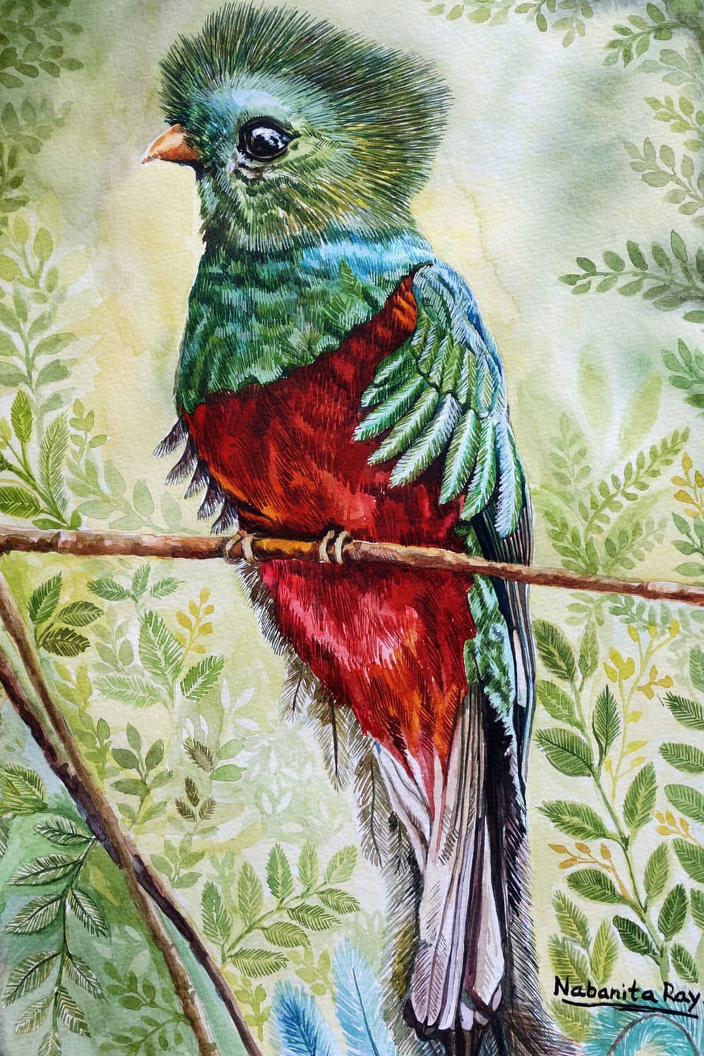 Quetzal Bird Watercolor Painting by Nabanita Ray on Handmade Paper