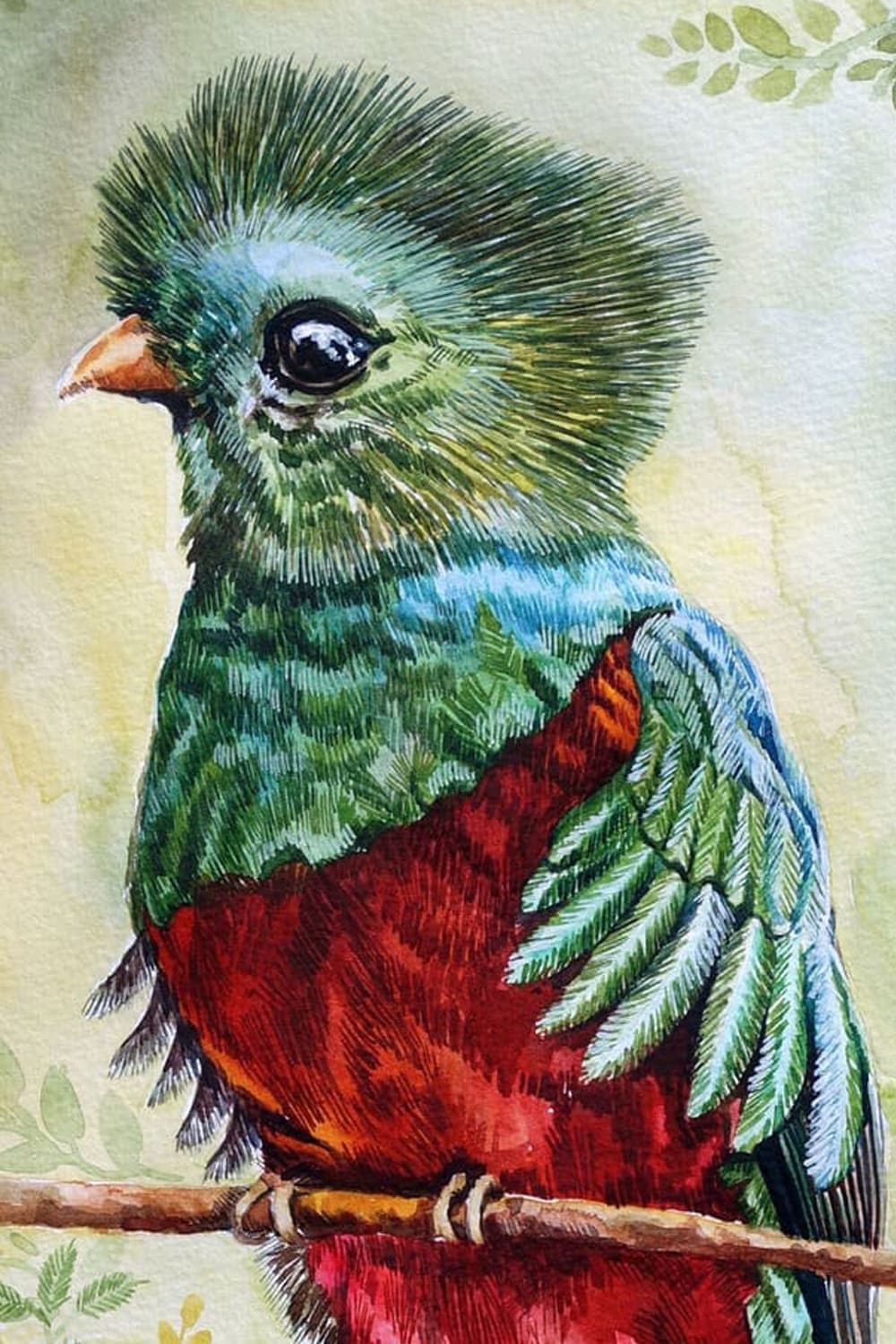 Quetzal Bird Watercolor Painting by Nabanita Ray on Handmade Paper