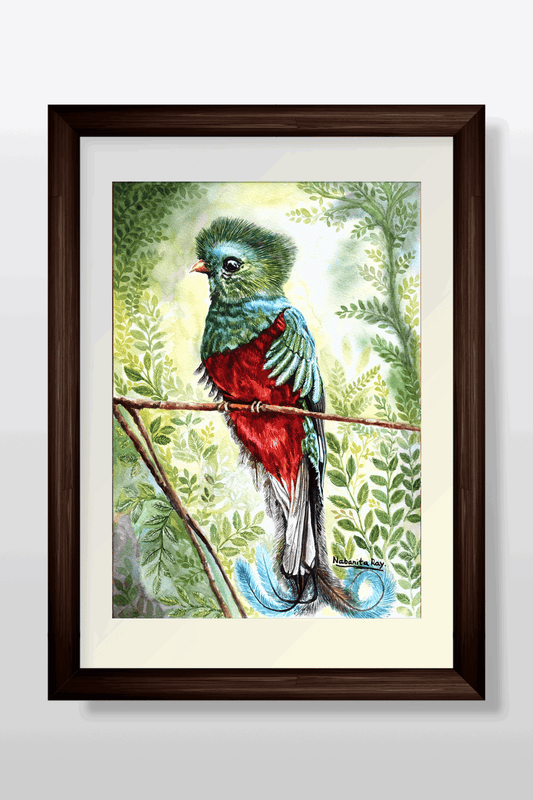 Quetzal Bird Watercolor Painting - Image 1