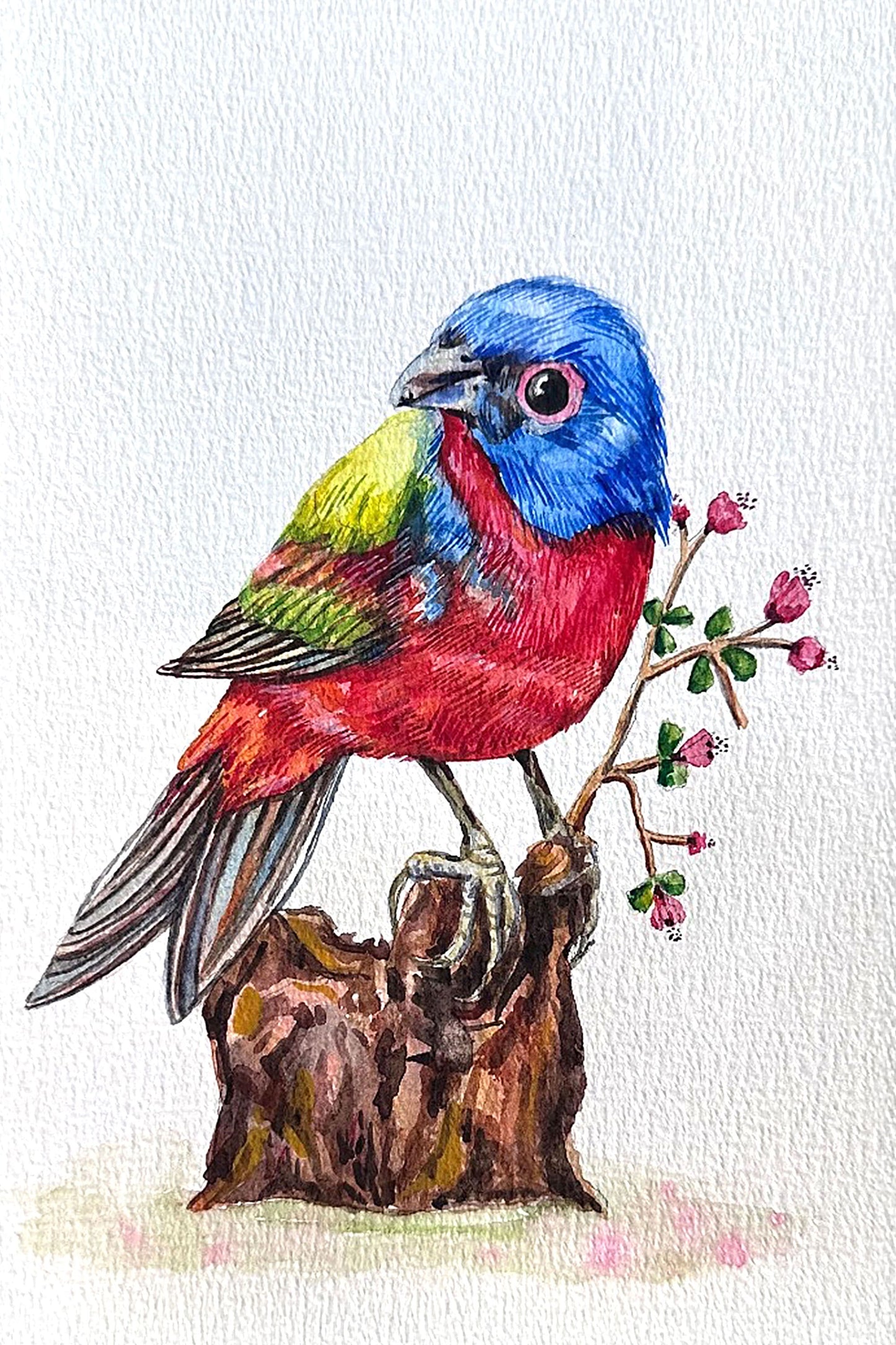 Colourful Bird Small watercolor Painting (A5 Size) - Image 2