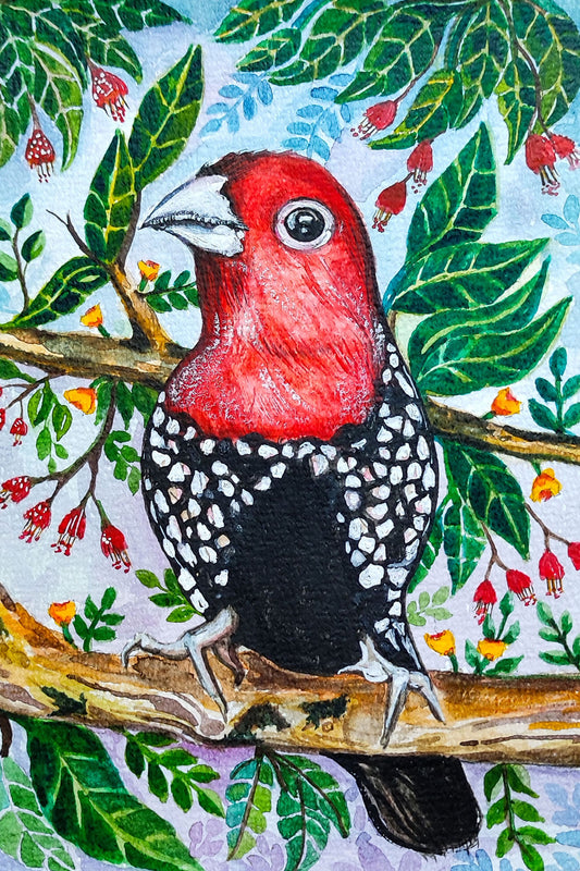 Red Bird Watercolor Painting on A5 Paper | Handmade Wildlife Bird Artwork