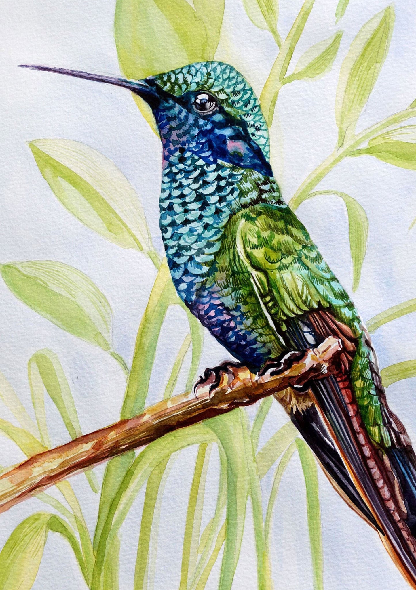 Tropical Hummingbird Watercolor Painting by Nabanita Ray on Handmade Paper